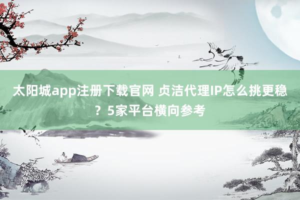 太阳城app注册下载官网 贞洁代理IP怎么挑更稳？5家平台横向参考