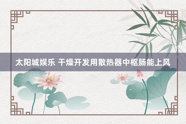 太阳城娱乐 干燥开发用散热器中枢肠能上风