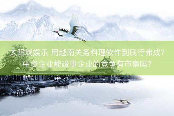 太阳城娱乐 用越南关务料理软件到底行弗成？中资企业能竣事企业的竞争有市集吗？